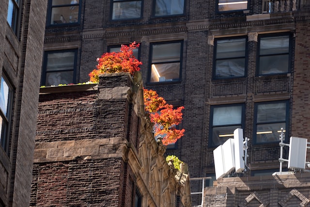 New Regulations for Airbnb and Their Impact on NYC Apartments