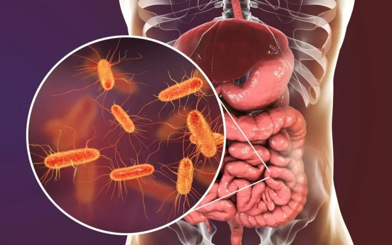 The Link Between Stress and Gut Health: How to Restore Balance in Your Digestive System