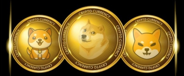 5 meme coins that are poised for growth in 2025